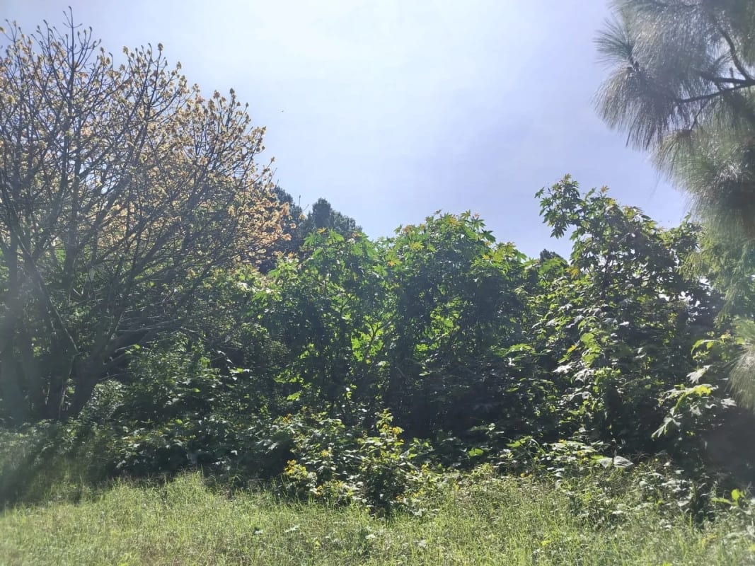 Vendo Terreno Condominio Sausalito, Fraijanes.. — Terreno en Venta en Sausalito, Carretera a El Salvador, Guatemala, Ciudad — foto 3 de 17