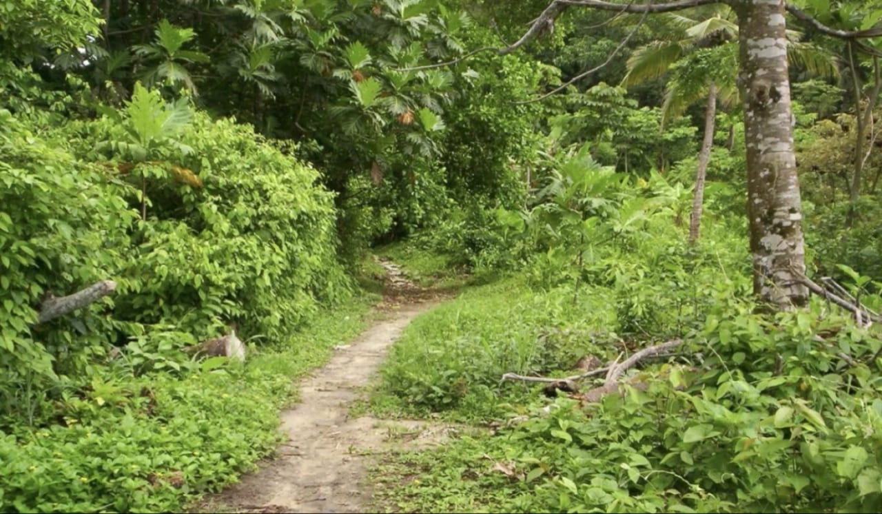 6 MANZANAS EN BAHÍA DE AMATIQUE — Terreno en Venta en Amatique Bay, Izabal — foto 2 de 7