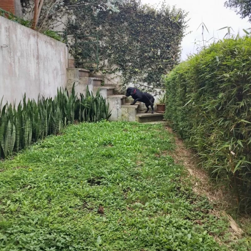 Vendo de casa exclusiva En Monte Bello km. 9.5 por Trebol de VH. — Casa en Venta en Santa Catarina Pinula, Carretera a El Salvador, Guatemala, Ciudad — foto 2 de 17