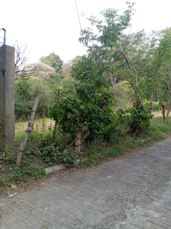 TERRENOS  en Venta  (2)  - El Manzanillo, Mixco zona 1 — Terreno en Venta en Zona 1 Mixco, Guatemala, Ciudad — foto 8 de 9
