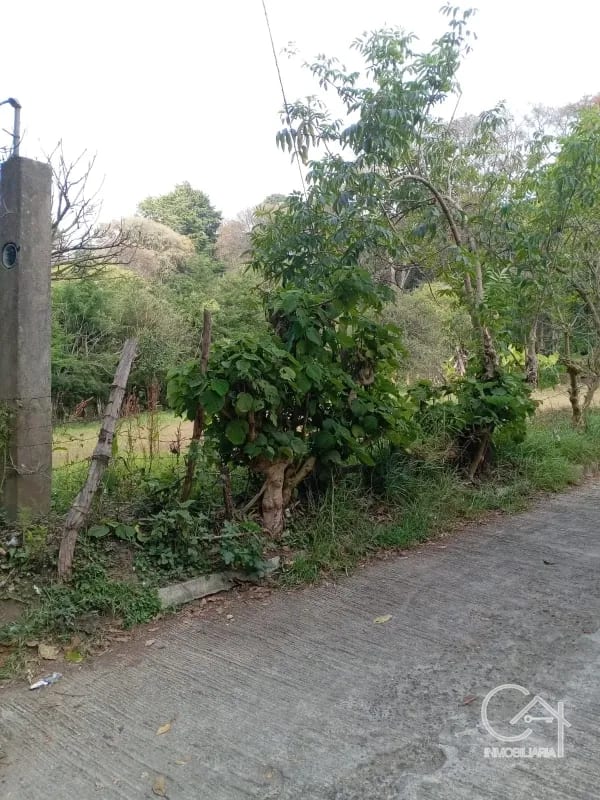 TERRENO en Venta (2) - El Manzanillo, Mixco zona 1 — Terreno en Venta en Zona 1 Mixco, Guatemala, Ciudad — foto 8 de 9