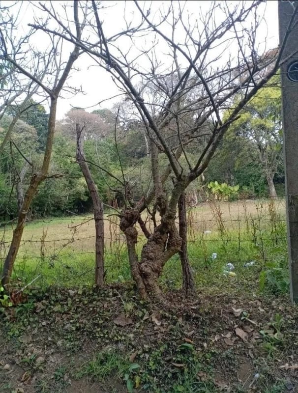 TERRENOS  en Venta  (2)  - El Manzanillo, Mixco zona 1 — Terreno en Venta en Zona 1 Mixco, Guatemala, Ciudad — foto 5 de 9