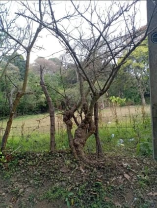 TERRENOS  en Venta  (2)  - El Manzanillo, Mixco zona 1 — Terreno en Venta en Zona 1 Mixco, Guatemala, Ciudad — miniatura 5 de 9