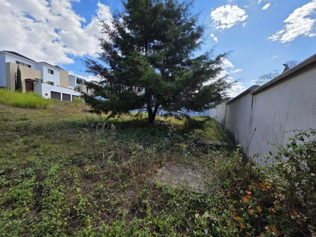 Terreno Residencial en Venta en Lomas de San Isidro Z16 — Terreno en Venta en Zona 16, Guatemala, Ciudad — foto 4 de 9