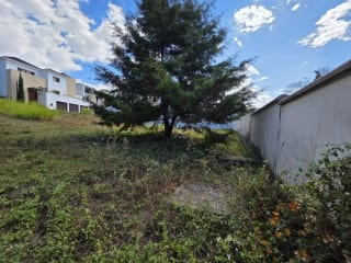 Terreno Residencial en Venta en Lomas de San Isidro Z16 — Terreno en Venta en Zona 16, Guatemala, Ciudad — miniatura 4 de 9