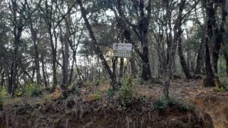 Terreno en Venta en El Encinal Zona 7 Mixco — Terreno en Venta en Zona 7 Mixco, Guatemala, Ciudad — miniatura 1 de 13