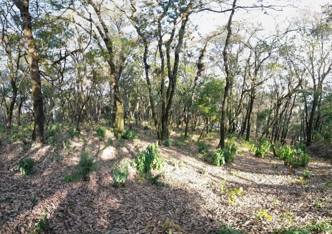 Terreno en Venta en El Encinal Zona 7 Mixco — Terreno en Venta en Zona 7 Mixco, Guatemala, Ciudad — foto 11 de 13