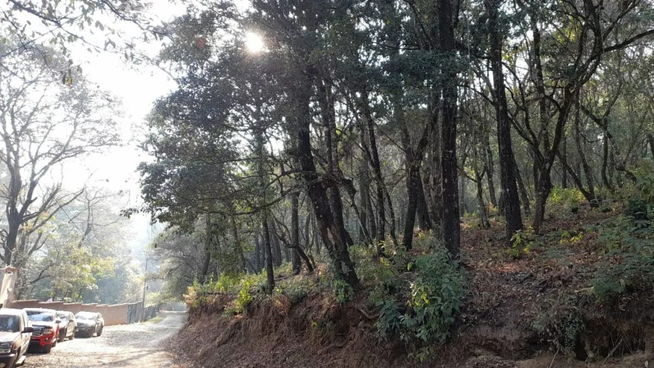 Terreno en Venta en El Encinal Zona 7 Mixco — Terreno en Venta en Zona 7 Mixco, Guatemala, Ciudad — foto 6 de 13