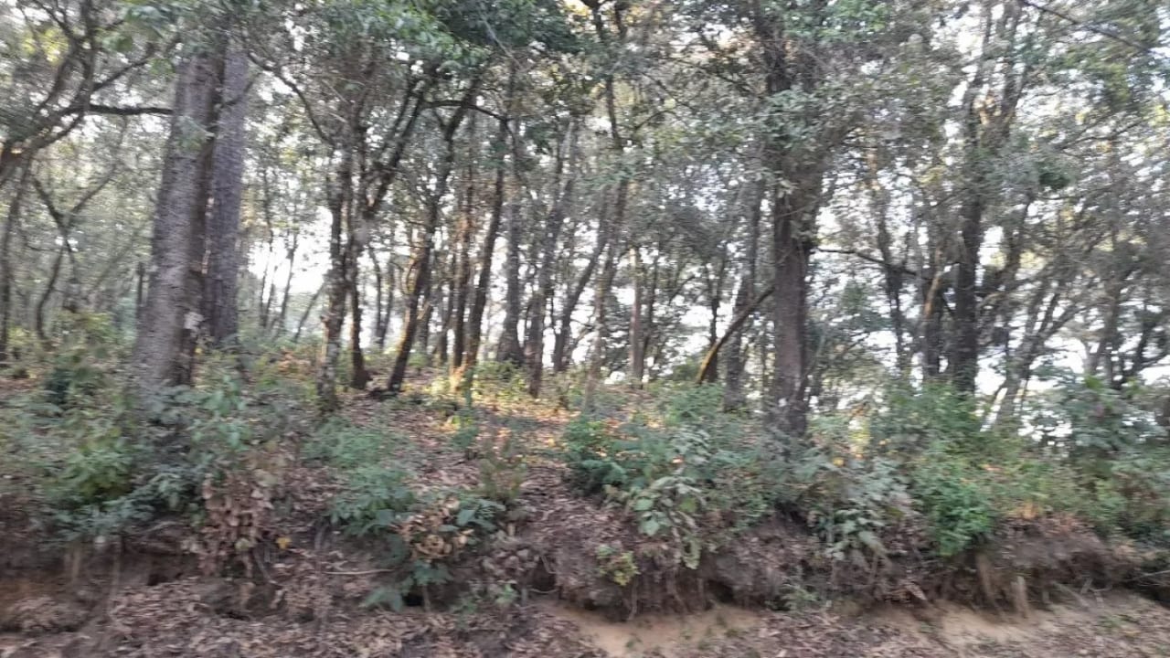 Terreno en Venta en El Encinal Zona 7 Mixco — Terreno en Venta en Zona 7 Mixco, Guatemala, Ciudad — foto 4 de 13