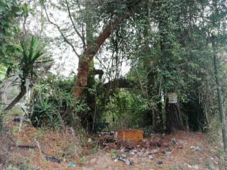 Venta de terreno Km 30 a Palencia — Terreno en Venta en palencia, Guatemala, Ciudad — miniatura 10 de 10