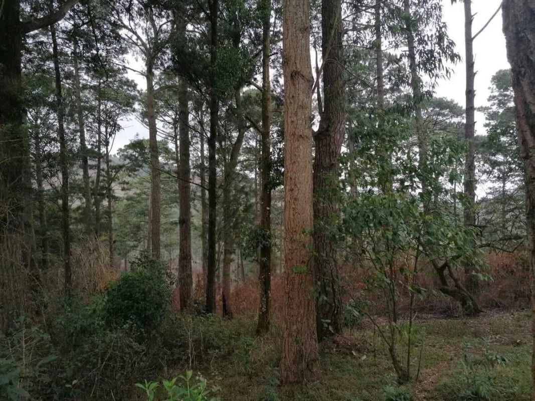 Venta de terreno Km 30 a Palencia — Terreno en Venta en palencia, Guatemala, Ciudad — foto 9 de 10