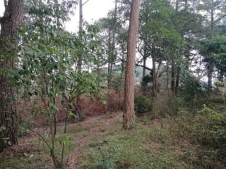 Venta de terreno Km 30 a Palencia — Terreno en Venta en palencia, Guatemala, Ciudad — miniatura 8 de 10