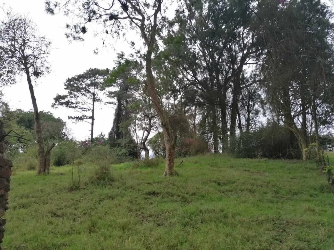 Venta de terreno Km 30 a Palencia — Terreno en Venta en palencia, Guatemala, Ciudad — foto 6 de 10