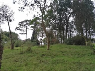 Venta de terreno Km 30 a Palencia — Terreno en Venta en palencia, Guatemala, Ciudad — miniatura 6 de 10
