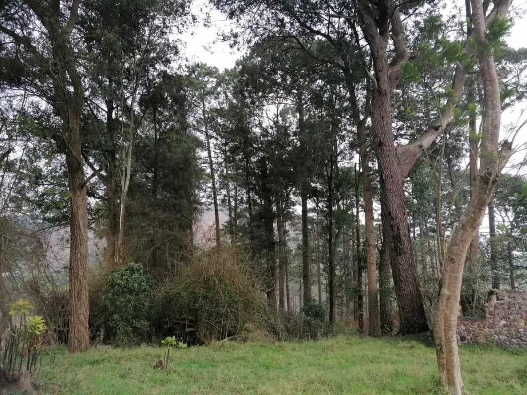 Venta de terreno Km 30 a Palencia — Terreno en Venta en palencia, Guatemala, Ciudad — foto 5 de 10