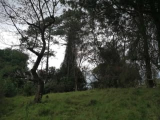 Venta de terreno Km 30 a Palencia — Terreno en Venta en palencia, Guatemala, Ciudad — miniatura 4 de 10