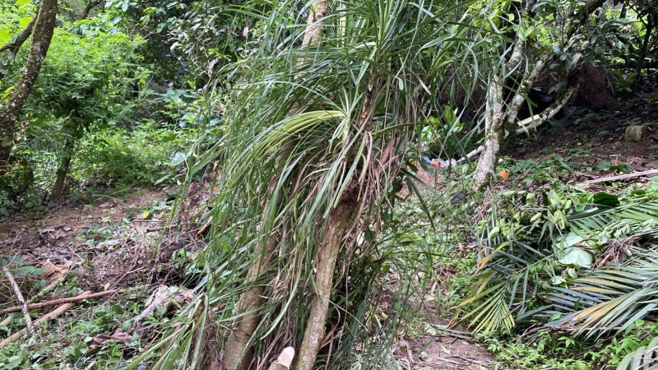 Venta de Terreno en La Montaña, zona 16 — Terreno en Venta en La Montaña, Zona 16, Guatemala, Ciudad — foto 4 de 5