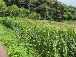 Vendo Terrenos, Planos en Santa Catarina Pinula zona 10 Guate City. — Terreno en Venta en Villas Granada Premier 2, Santa Catarina Pinula, Guatemala, Ciudad — miniatura 5 de 9