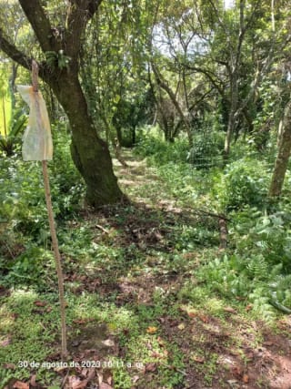 Venta de TERRENO, Casa y Campo Carretera a el salvador km23.5 — Terreno en Venta en Campo Verde, Carretera a El Salvador, Guatemala, Ciudad — miniatura 7 de 8