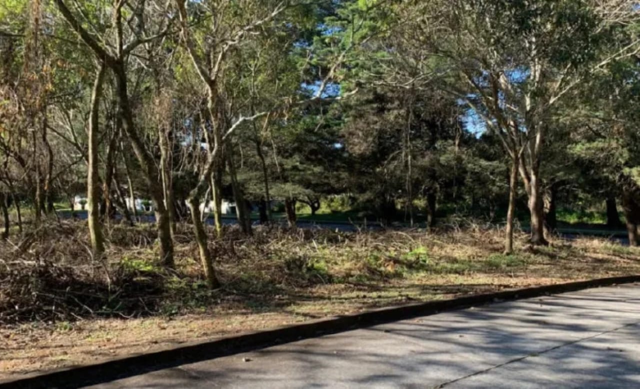 Venta de TERRENO, Casa y Campo Carretera a el salvador km23.5 — Terreno en Venta en Campo Verde, Carretera a El Salvador, Guatemala, Ciudad — foto 6 de 8