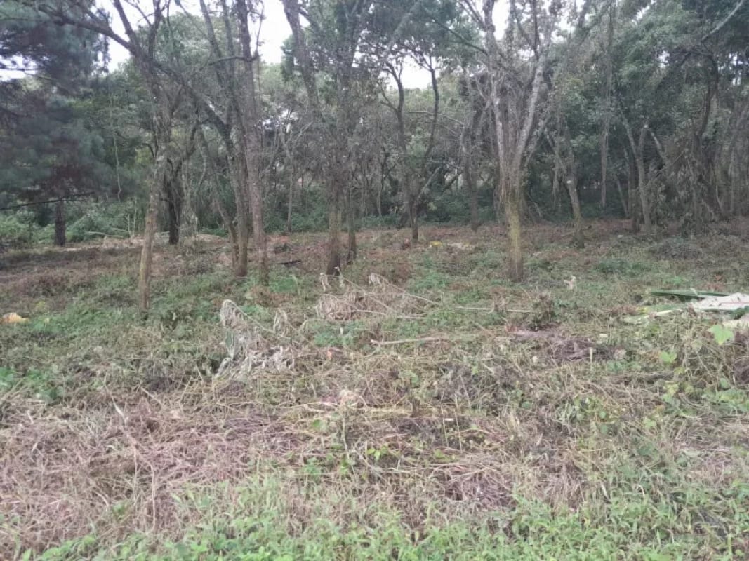 Venta de TERRENO, Casa y Campo Carretera a el salvador km23.5 — Terreno en Venta en Campo Verde, Carretera a El Salvador, Guatemala, Ciudad — foto 5 de 8