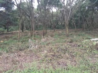 Venta de TERRENO, Casa y Campo Carretera a el salvador km23.5 — Terreno en Venta en Campo Verde, Carretera a El Salvador, Guatemala, Ciudad — miniatura 5 de 8