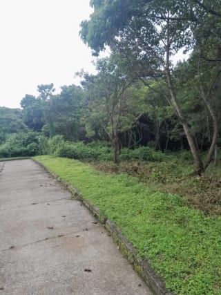 Venta de TERRENO, Casa y Campo Carretera a el salvador km23.5 — Terreno en Venta en Campo Verde, Carretera a El Salvador, Guatemala, Ciudad — miniatura 4 de 8