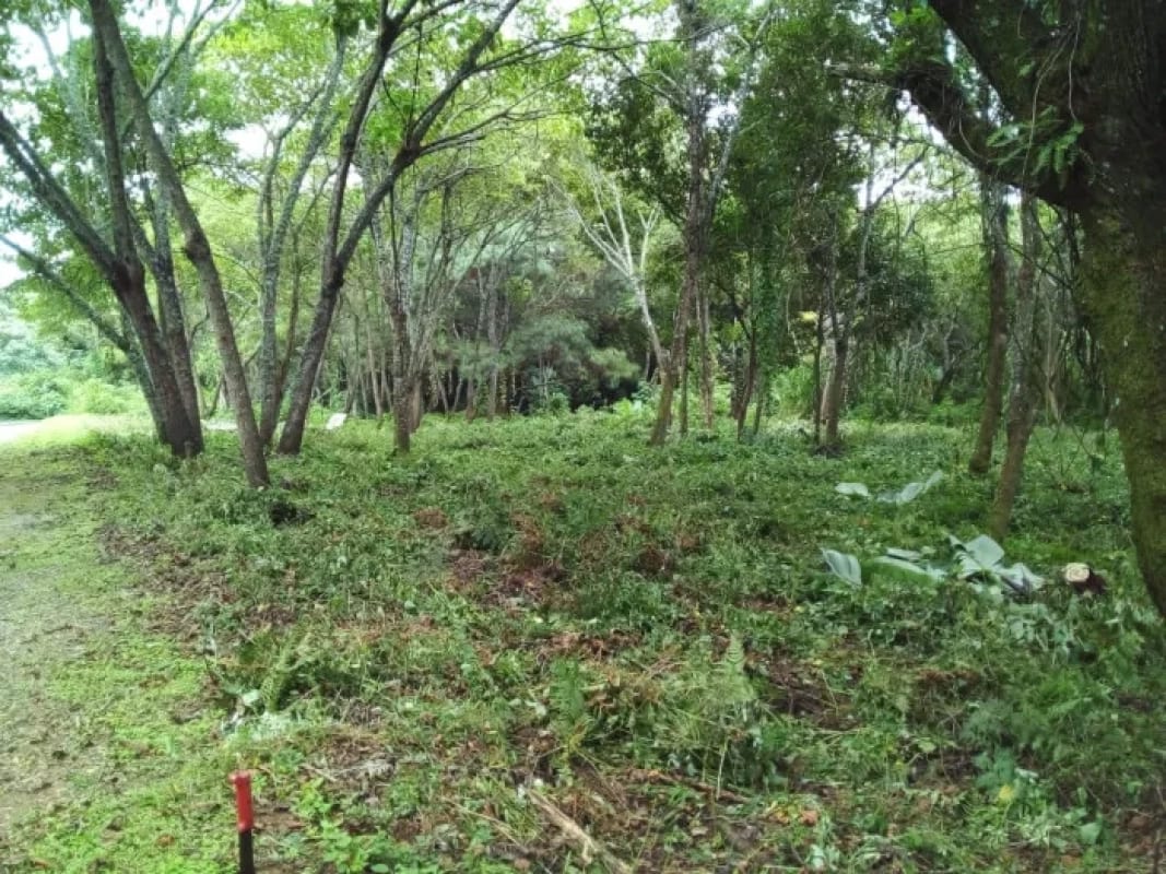 Venta de TERRENO, Casa y Campo Carretera a el salvador km23.5 — Terreno en Venta en Campo Verde, Carretera a El Salvador, Guatemala, Ciudad — foto 3 de 8