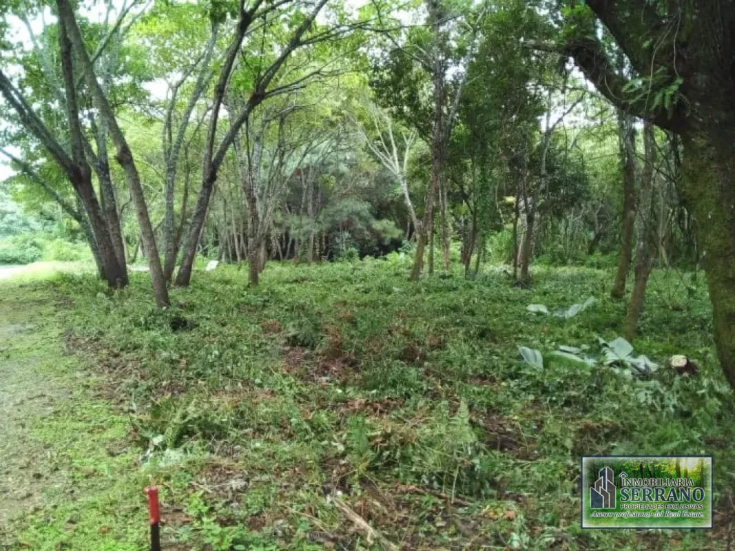 Venta de TERRENO, Casa y Campo Carretera a el salvador km23.5 — Terreno en Venta en Campo Verde, Carretera a El Salvador, Guatemala, Ciudad — foto 3 de 8