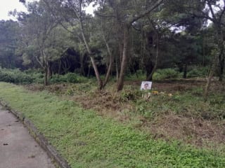 Venta de TERRENO, Casa y Campo Carretera a el salvador km23.5 — Terreno en Venta en Campo Verde, Carretera a El Salvador, Guatemala, Ciudad — miniatura 2 de 8