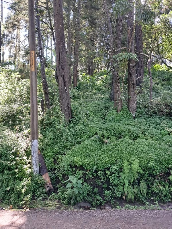 VENDO INTERESANTE TERRENO DE ESQUINA UBICADO EN DON JUSTO PARA PROYECTO o PARA RESIDENCIA — Terreno en Venta en Carretera a El Salvador, Guatemala, Ciudad — foto 10 de 10