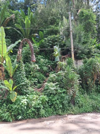 VENDO INTERESANTE TERRENO DE ESQUINA UBICADO EN DON JUSTO PARA PROYECTO o PARA RESIDENCIA — Terreno en Venta en Carretera a El Salvador, Guatemala, Ciudad — miniatura 9 de 10