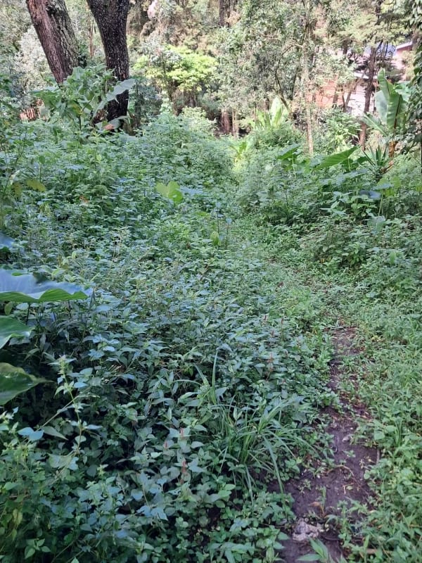 VENDO INTERESANTE TERRENO DE ESQUINA UBICADO EN DON JUSTO PARA PROYECTO o PARA RESIDENCIA — Terreno en Venta en Carretera a El Salvador, Guatemala, Ciudad — foto 6 de 10