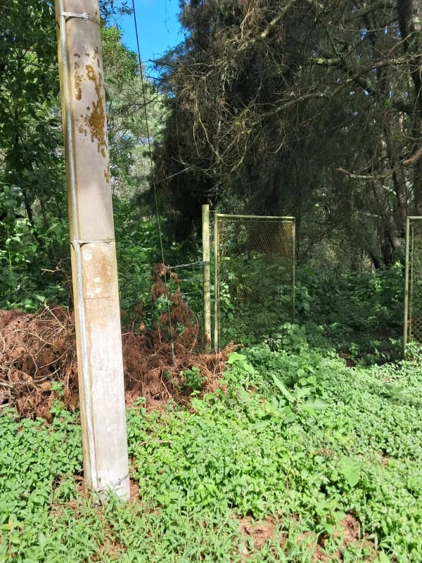VENDO INTERESANTE TERRENO DE ESQUINA UBICADO EN DON JUSTO PARA PROYECTO o PARA RESIDENCIA — Terreno en Venta en Carretera a El Salvador, Guatemala, Ciudad — foto 5 de 10