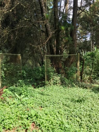 VENDO INTERESANTE TERRENO DE ESQUINA UBICADO EN DON JUSTO PARA PROYECTO o PARA RESIDENCIA — Terreno en Venta en Carretera a El Salvador, Guatemala, Ciudad — miniatura 4 de 10
