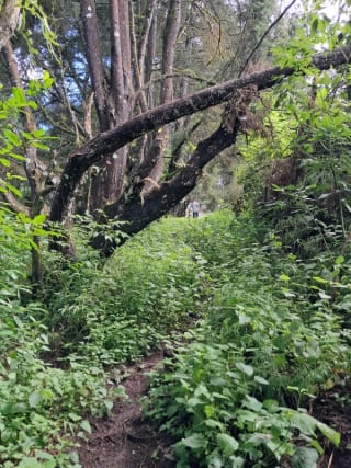 VENDO INTERESANTE TERRENO DE ESQUINA UBICADO EN DON JUSTO PARA PROYECTO o PARA RESIDENCIA — Terreno en Venta en Carretera a El Salvador, Guatemala, Ciudad — miniatura 3 de 10