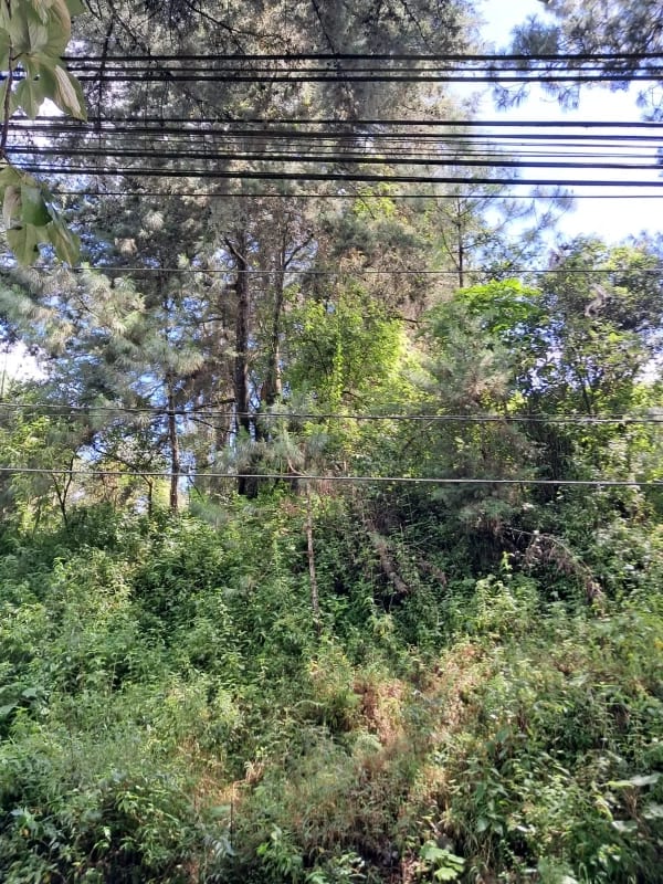 VENDO INTERESANTE TERRENO DE ESQUINA UBICADO EN DON JUSTO PARA PROYECTO o PARA RESIDENCIA — Terreno en Venta en Carretera a El Salvador, Guatemala, Ciudad — foto 2 de 10