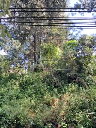 VENDO INTERESANTE TERRENO DE ESQUINA UBICADO EN DON JUSTO PARA PROYECTO o PARA RESIDENCIA — Terreno en Venta en Carretera a El Salvador, Guatemala, Ciudad — miniatura 2 de 10