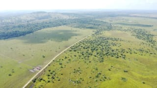 Finca de 4,876 manzanas en Venta en Petén — Finca en Venta en Sayaxché, Petén — miniatura 1 de 4
