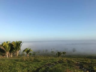 Finca de 4,876 manzanas en Venta en Petén — Finca en Venta en Sayaxché, Petén — miniatura 4 de 4