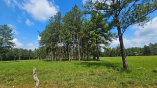 Finca de 4,876 manzanas en Venta en Petén — Finca en Venta en Sayaxché, Petén — miniatura 3 de 4