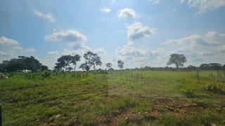 Finca de 4,876 manzanas en Venta en Petén — Finca en Venta en Sayaxché, Petén — miniatura 2 de 4