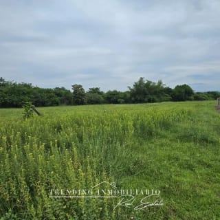 Terreno en venta Caballo Blanco Retalhuleu 9.68 manzanas — Terreno en Venta en Retalhuleu, Retalhuleu — miniatura 1 de 5