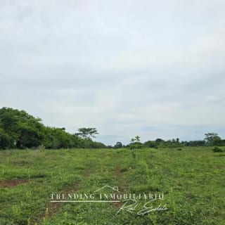 Terreno en venta Caballo Blanco Retalhuleu 9.68 manzanas — Terreno en Venta en Retalhuleu, Retalhuleu — miniatura 5 de 5