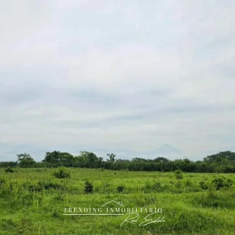 Terreno en venta Caballo Blanco Retalhuleu 9.68 manzanas — Terreno en Venta en Retalhuleu, Retalhuleu — foto 4 de 5