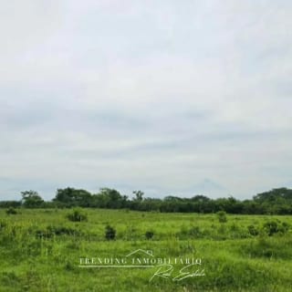 Terreno en venta Caballo Blanco Retalhuleu 9.68 manzanas — Terreno en Venta en Retalhuleu, Retalhuleu — miniatura 4 de 5
