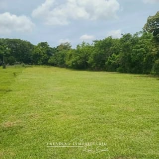 Terreno en venta Caballo Blanco Retalhuleu 9.68 manzanas — Terreno en Venta en Retalhuleu, Retalhuleu — miniatura 3 de 5