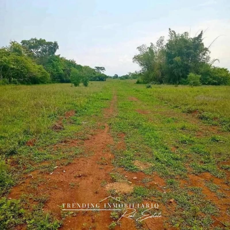 Terreno en venta Caballo Blanco Retalhuleu 9.68 manzanas — Terreno en Venta en Retalhuleu, Retalhuleu — foto 2 de 5