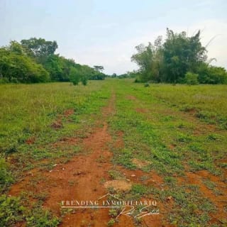 Terreno en venta Caballo Blanco Retalhuleu 9.68 manzanas — Terreno en Venta en Retalhuleu, Retalhuleu — miniatura 2 de 5