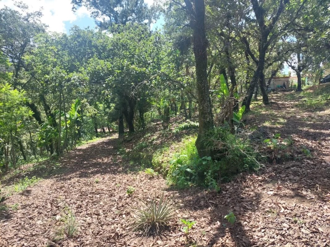 TERRENO en Venta-  Alamedas de Yumar, zona 6 mixco — Terreno en Venta en Zona 6 Mixco, Guatemala, Ciudad — foto 4 de 13